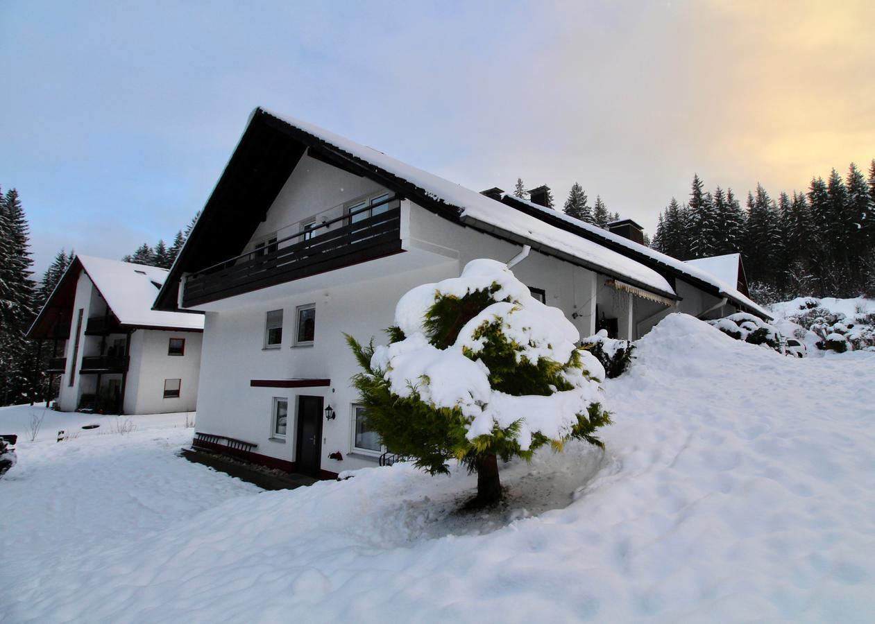 Appartement Ferienhaus Frei 1 Hinterzarten Extérieur photo